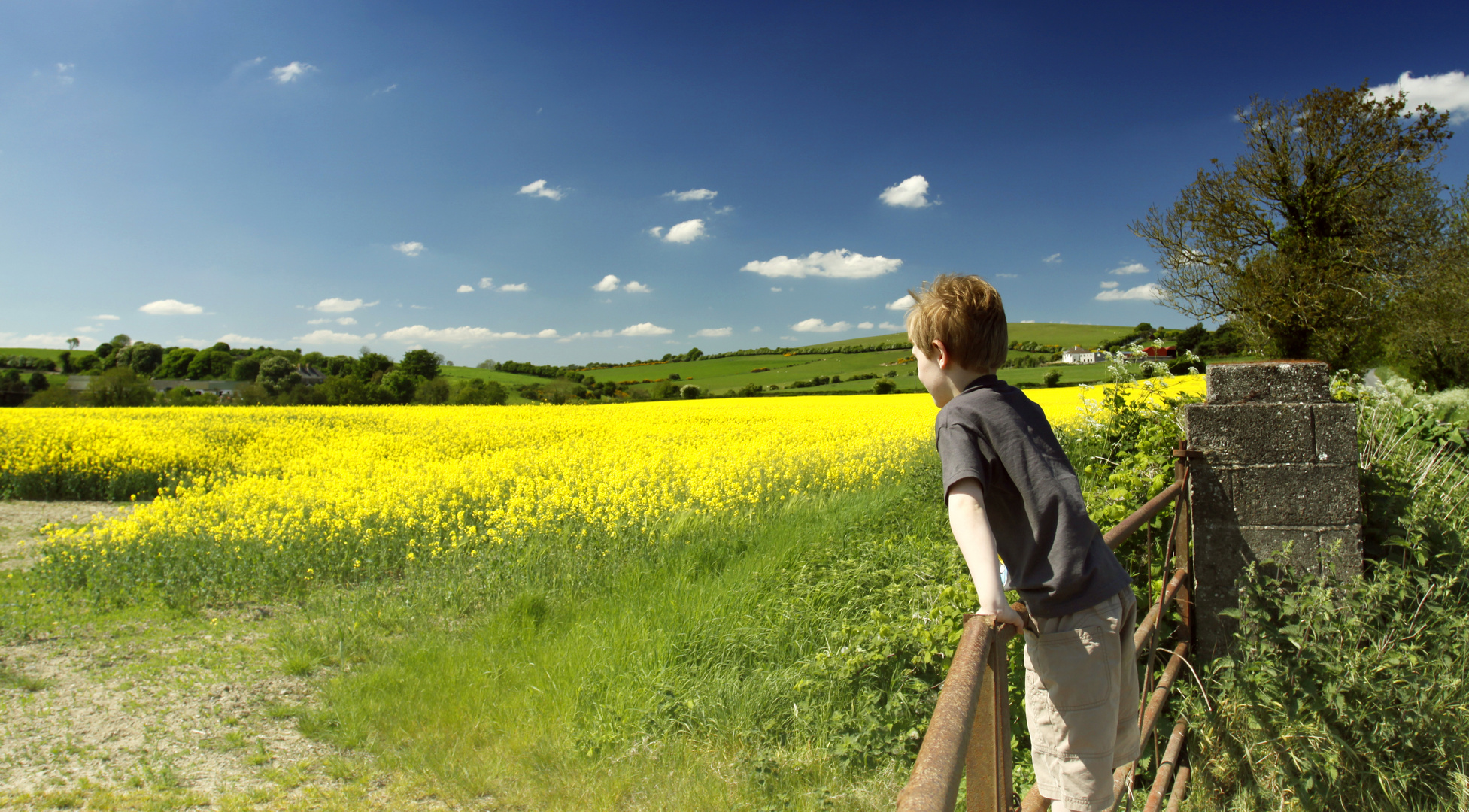 Boy marvelling at the landscape