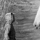 boy meets horse