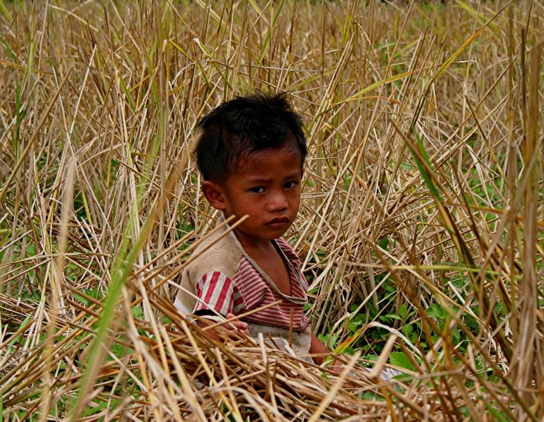 Boy of Batad, Phil 1