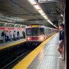 Boy | Park Street Station | Boston, Massachusetts