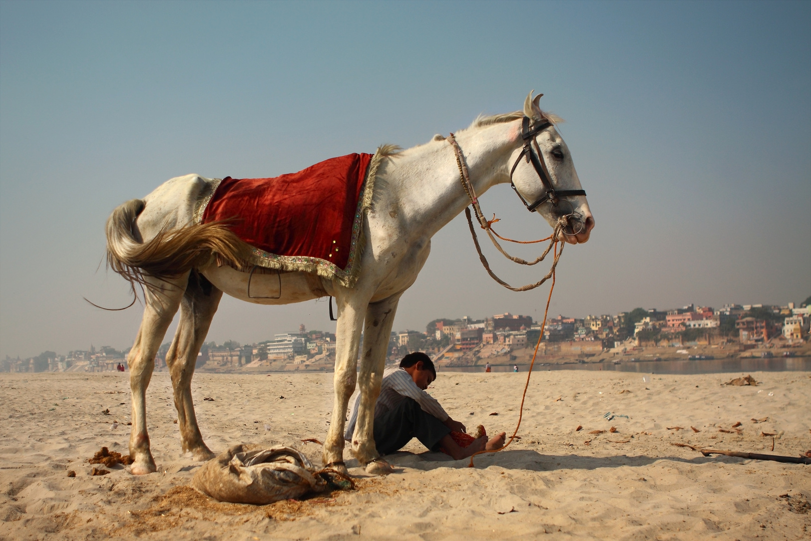 Boy with a white horse.