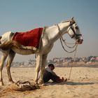 Boy with a white horse.