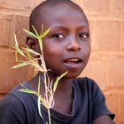 Boy with flower