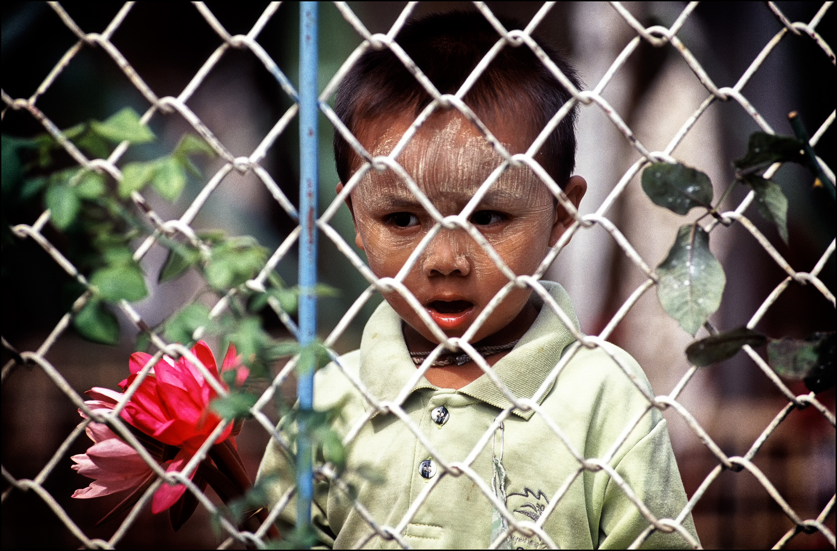 Boy with flowers during Phaung-Daw-U.