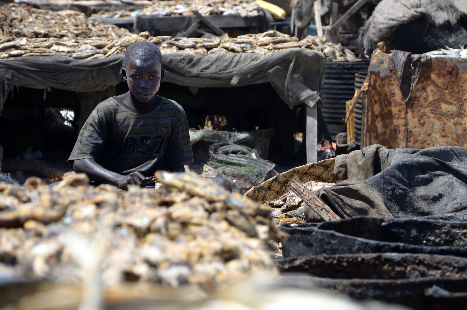Boy working at Fish Harbour, Saint-Louis, Senegal