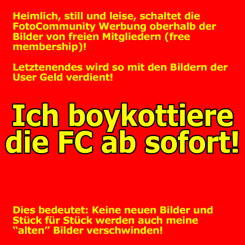 Boykott der Werbung in der FC