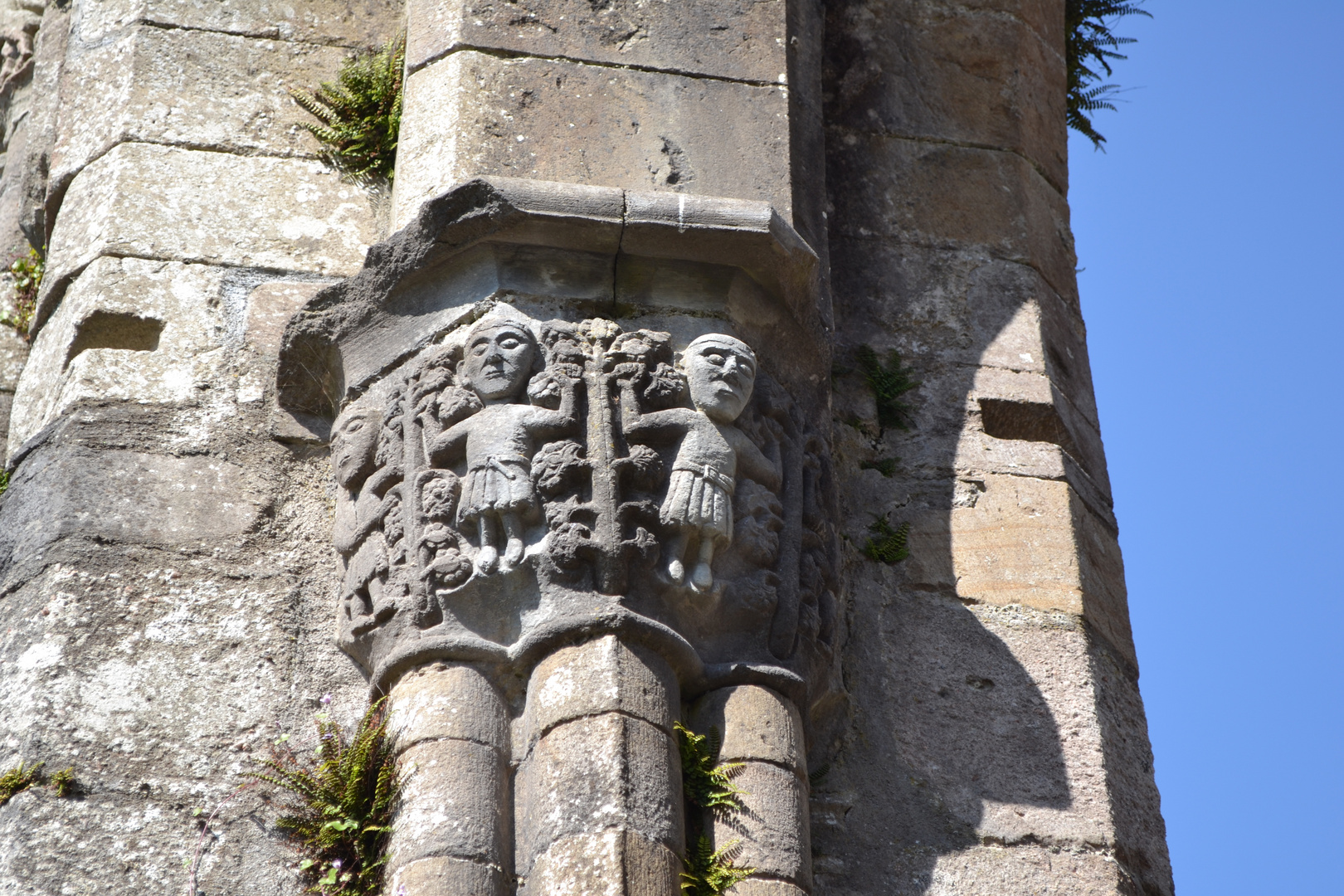 Boyle Abbey