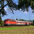 BR 110 mit n-Wagen im Herbst zwischen zwei Apfelbäumen