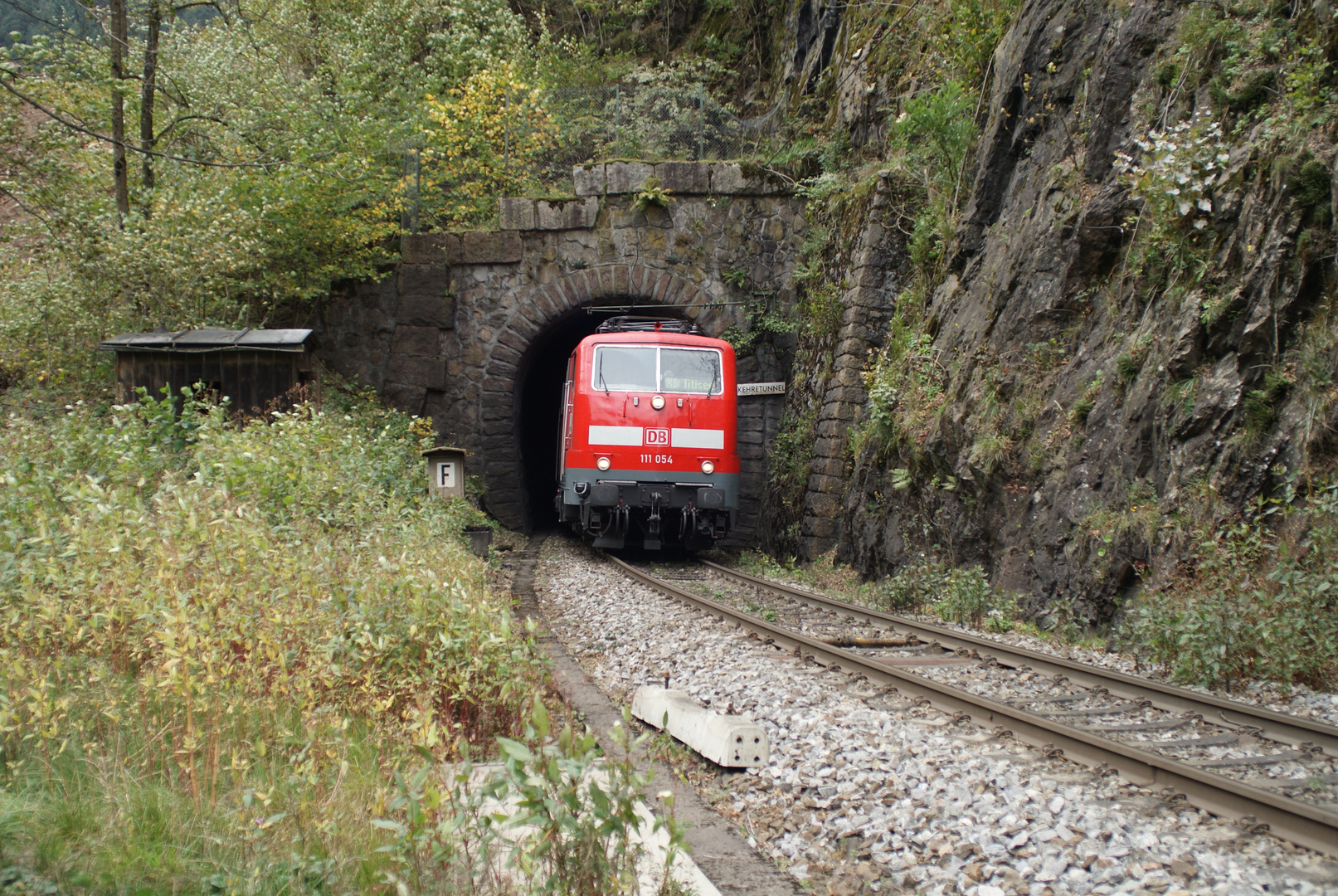 BR 111 im Höllental 3