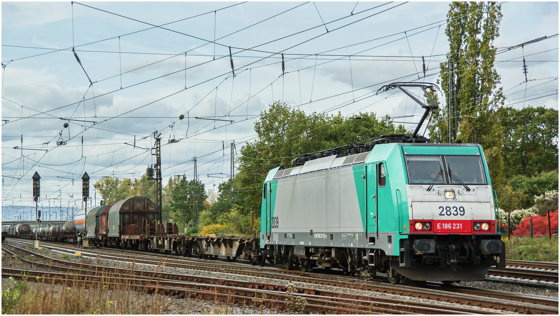 BR 186 231 - 2839 mit einem gem. Güterzug