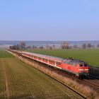 BR 218 mit n-Wagen bei Klein Elbe im Abendlicht