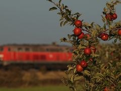 BR 218 und saftige Bodensee - Äpfel ....