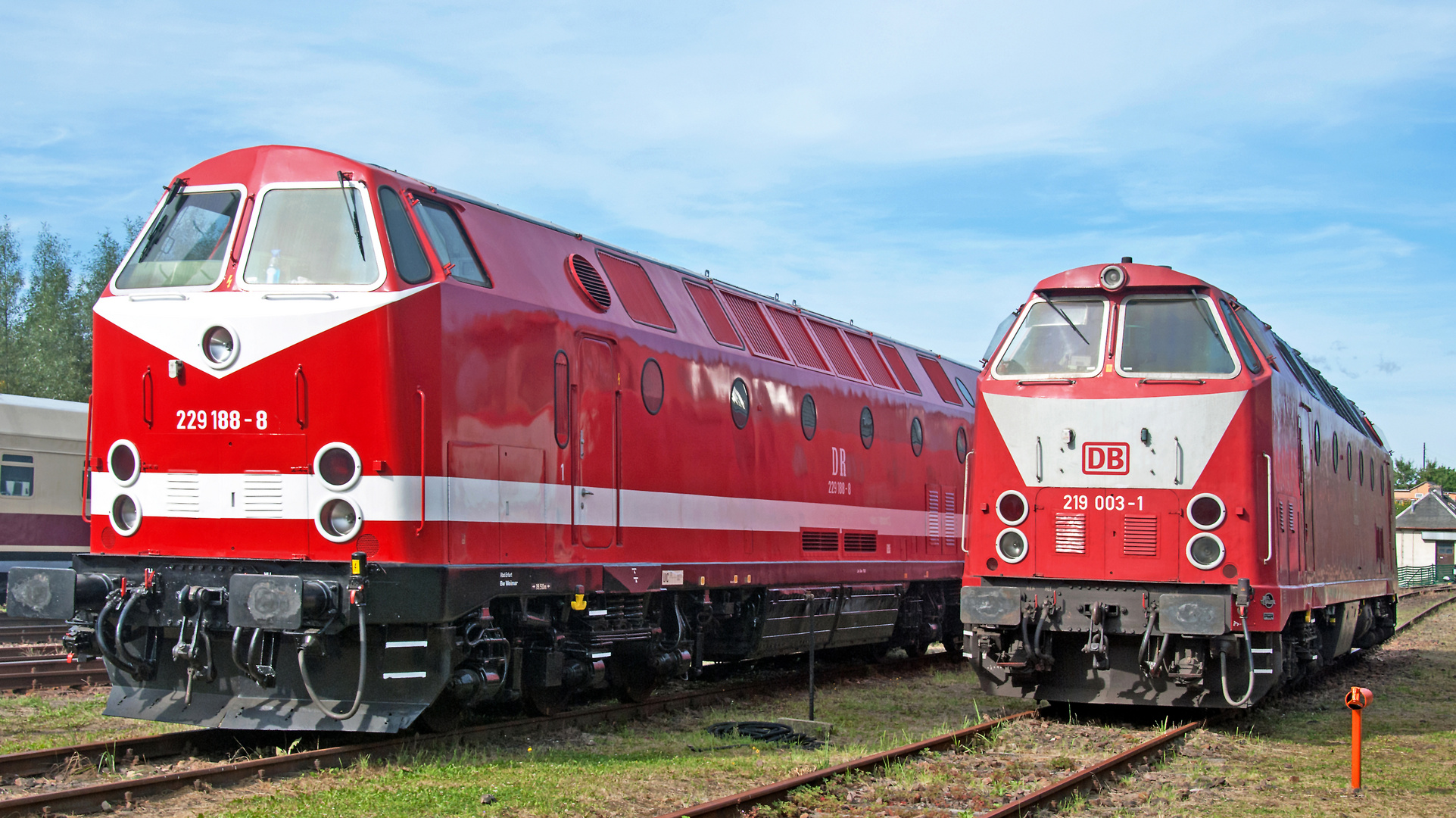 BR 229 188-8 DB   BR 219 003-1  DR  Hilbersdorf 08 08.22.