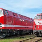 BR 229 188-8 DB   BR 219 003-1  DR  Hilbersdorf 08 08.22.