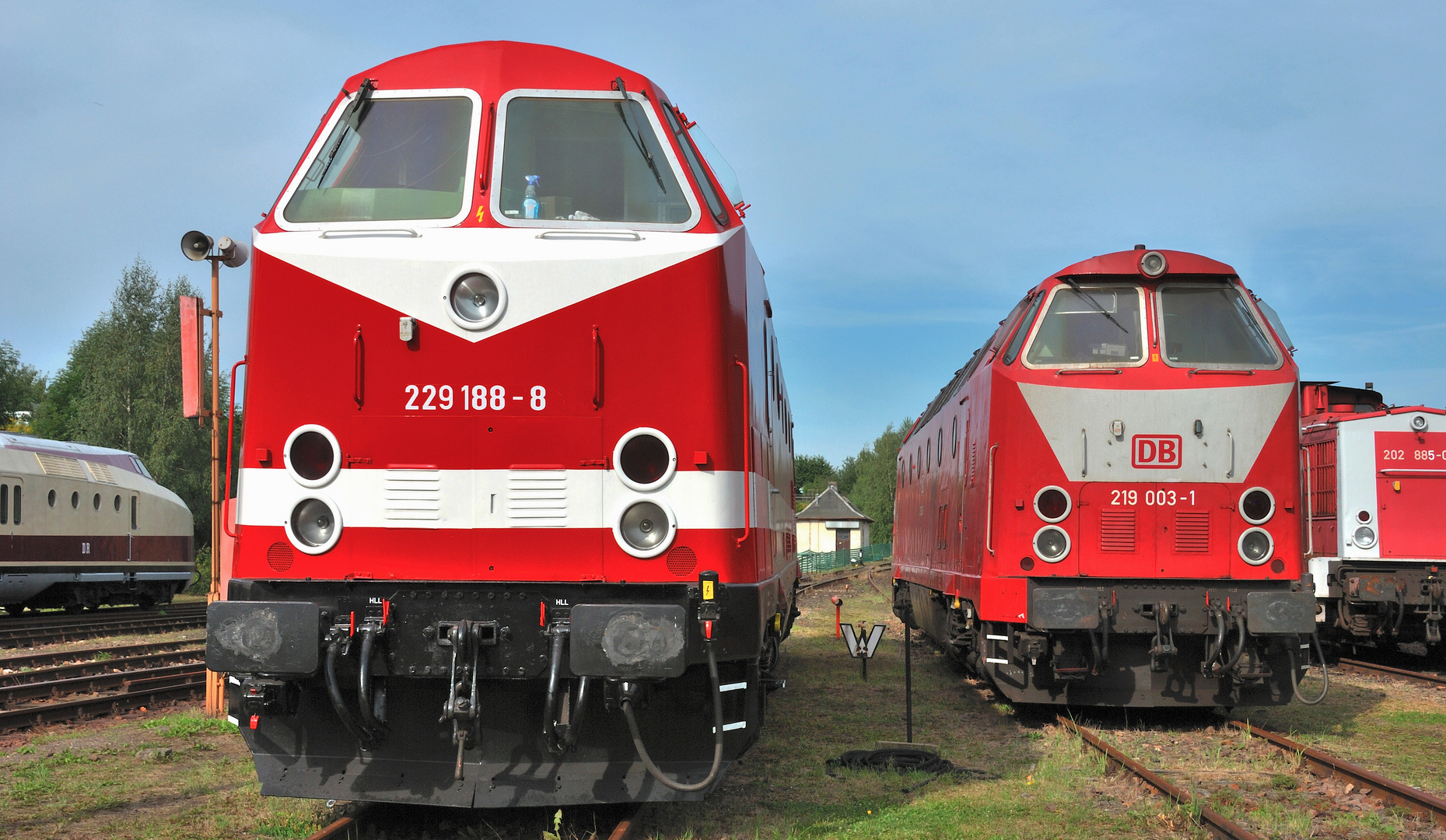 BR 229 188-8 Hilbersdorf 2008 08.22.