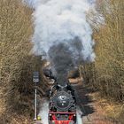 BR 41 mit dem Eisenbahnromantik-Sonderzug