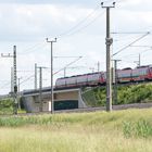 BR 442 bei Erlangen-Eltersdorf