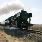 BR 52 8177 auf Sonderfahrt in Brandenburg