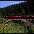 Br. 611 022 nach Neustadt (Schwarzwald)