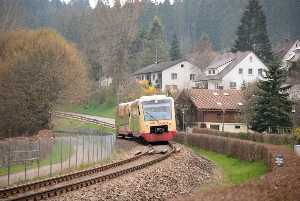 BR 650 nach Tuttlingen