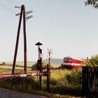 BR 831 auf der Strecke Zatec- Plzen