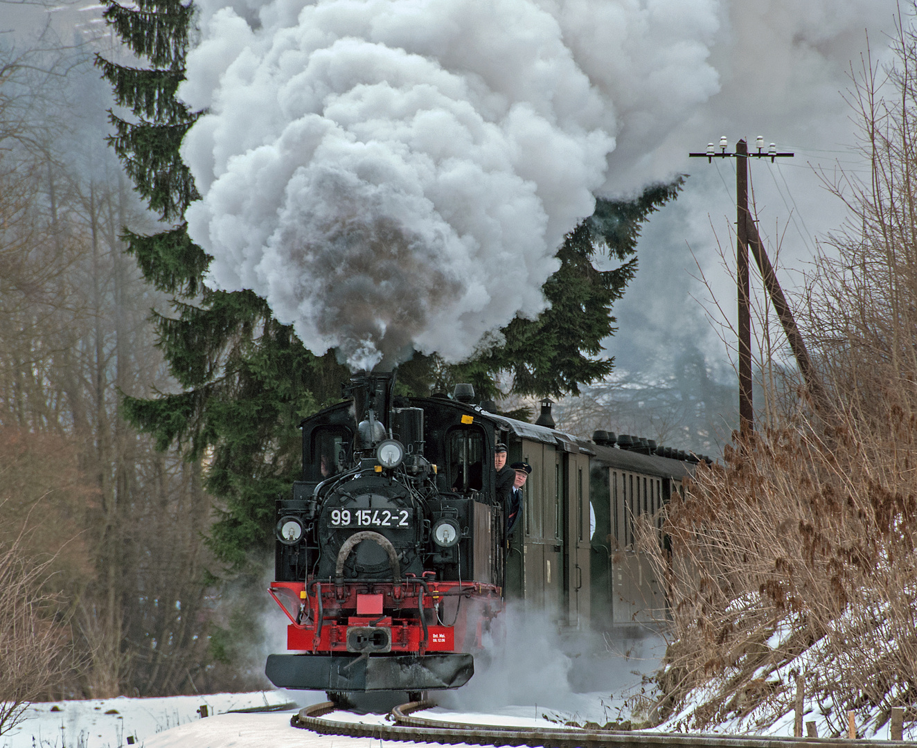 BR 99 1542-2  04.01.10  Steinbach Pressnitztal