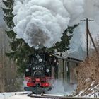 BR 99 1542-2  04.01.10  Steinbach Pressnitztal