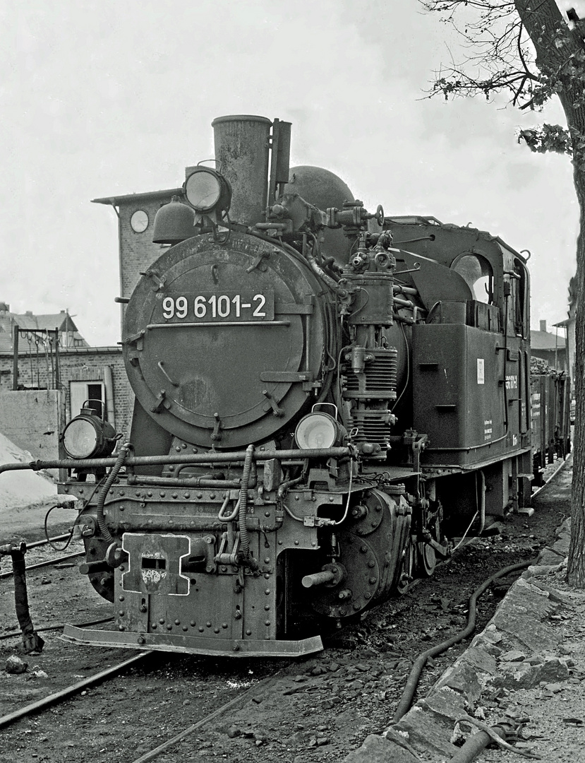 BR 99 6101-2 DR  Wernigerode  1981 08. 