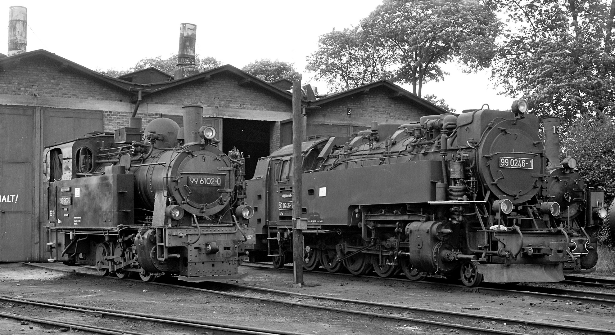 BR 99 6102  BR 99 0246-1  Wernigerode 1982 08. April