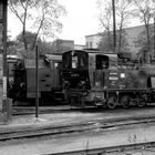 BR 99 6102 Wernigerode 1982 Aug.