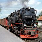 BR 99 7241-5 Wernigerode  04..1993