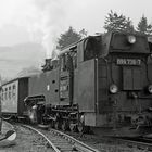 BR 99 738-7 Oberwiesental Mai 1993