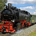 BR 99 794 Fichtelbergbahn 06 08.2007