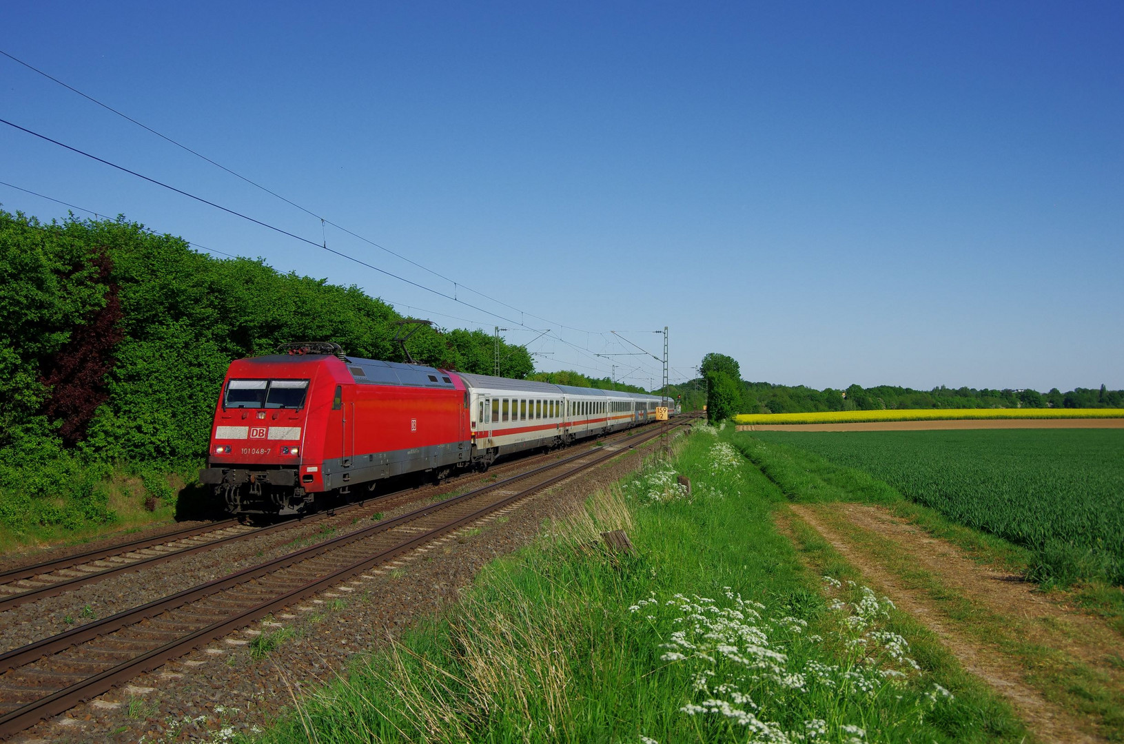 BR101 mit IC2276 InterCity 