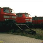 BR218 Treffen im BW Westerland