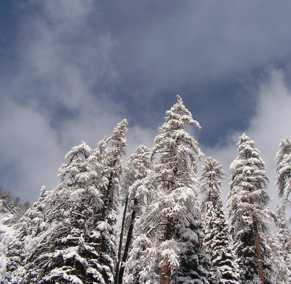 Braccia innevate protese verso il cielo