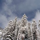 Braccia innevate protese verso il cielo