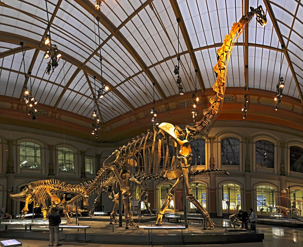 Brachiosaurus brancai Foto & Bild deutschland, europe, berlin
