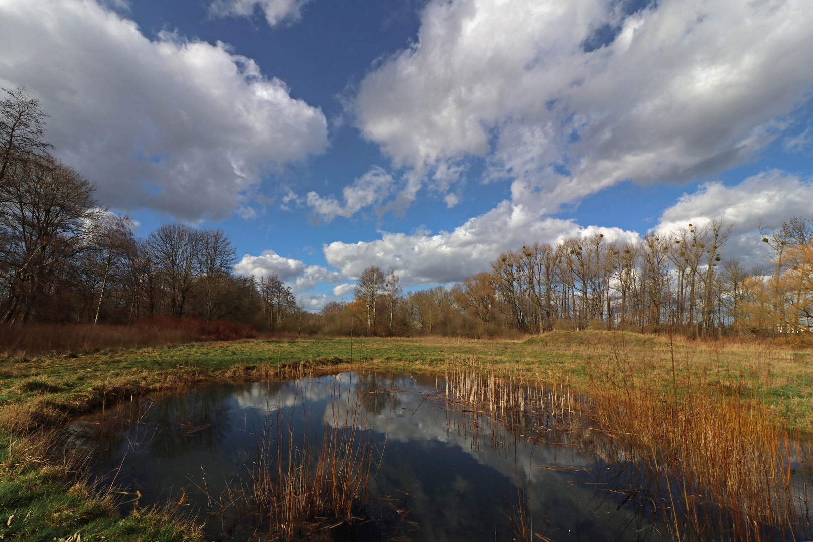 Brachwiese am Mutterkamp