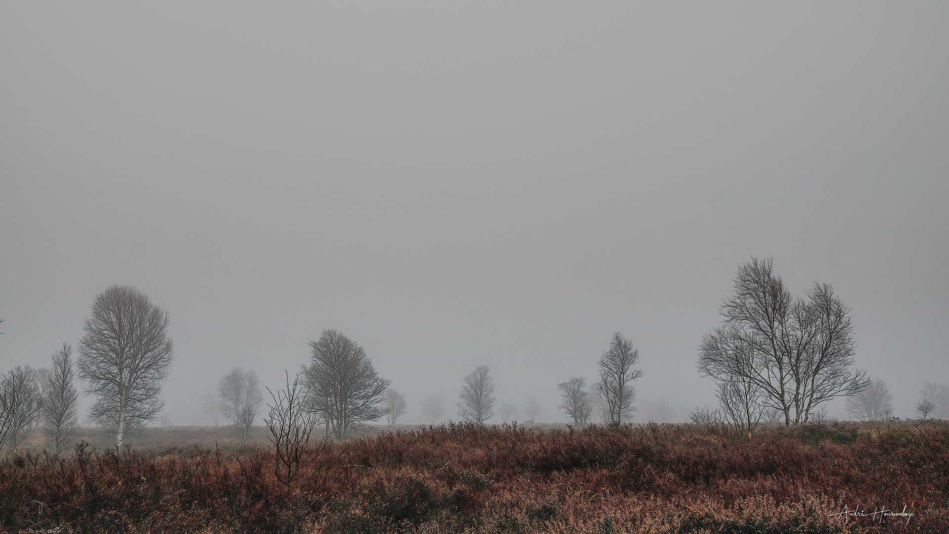 Brackvenn dans le brouillard