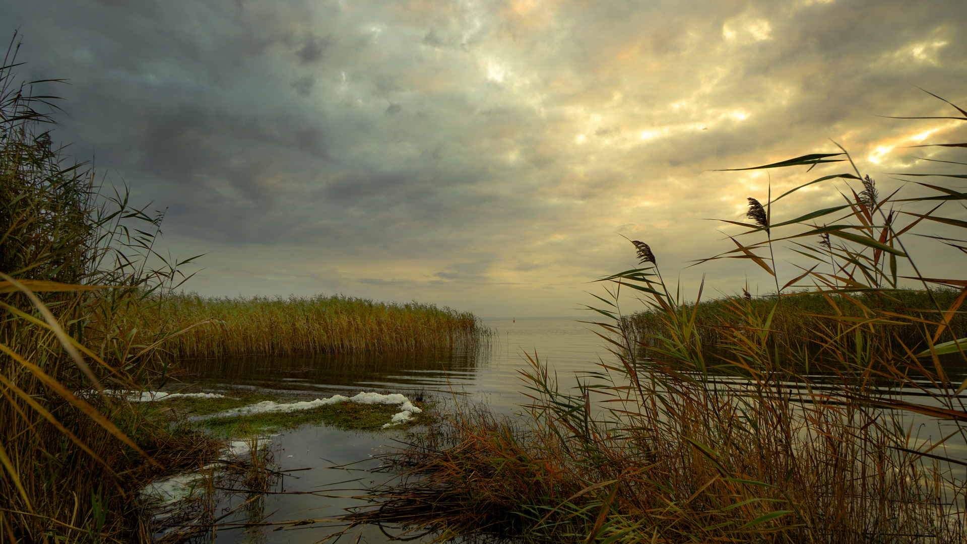 Brackwasser­meer Bodden