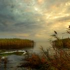 Brackwasser­meer Bodden