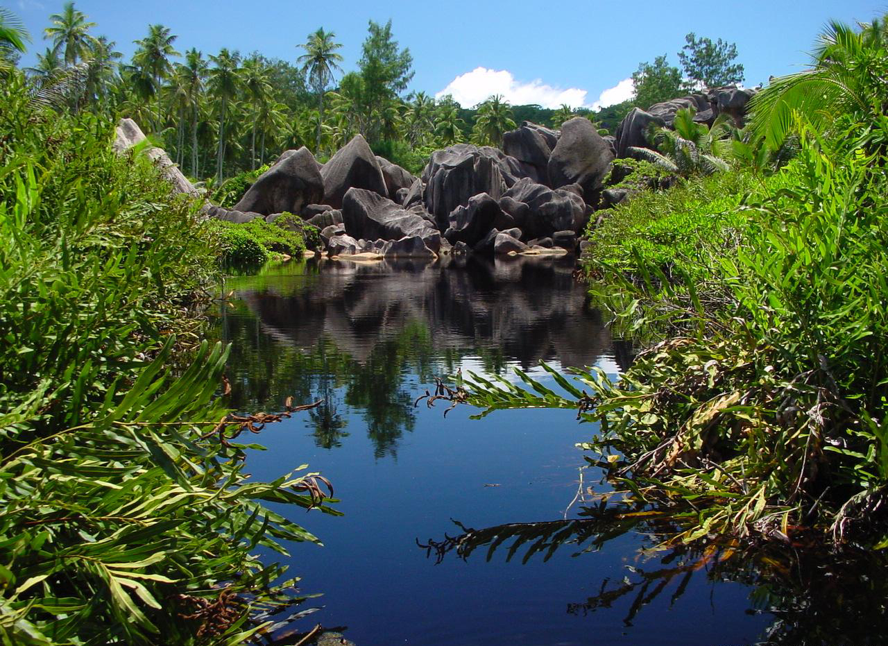 Brackwassersee und Granitfelsen - La Dique (Seychellen)