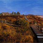 Braderuper Heide auf Sylt