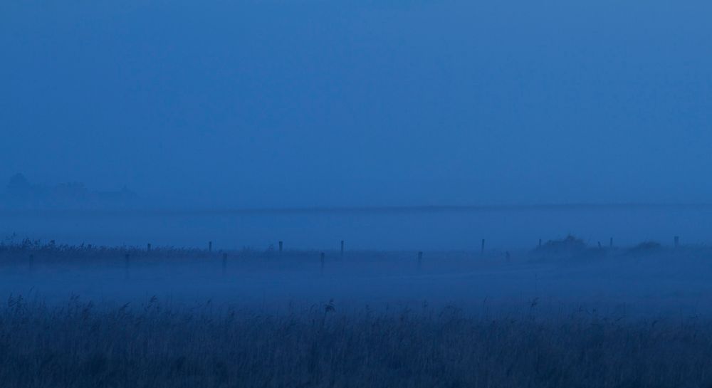 Braderuper Heide im Frühnebel