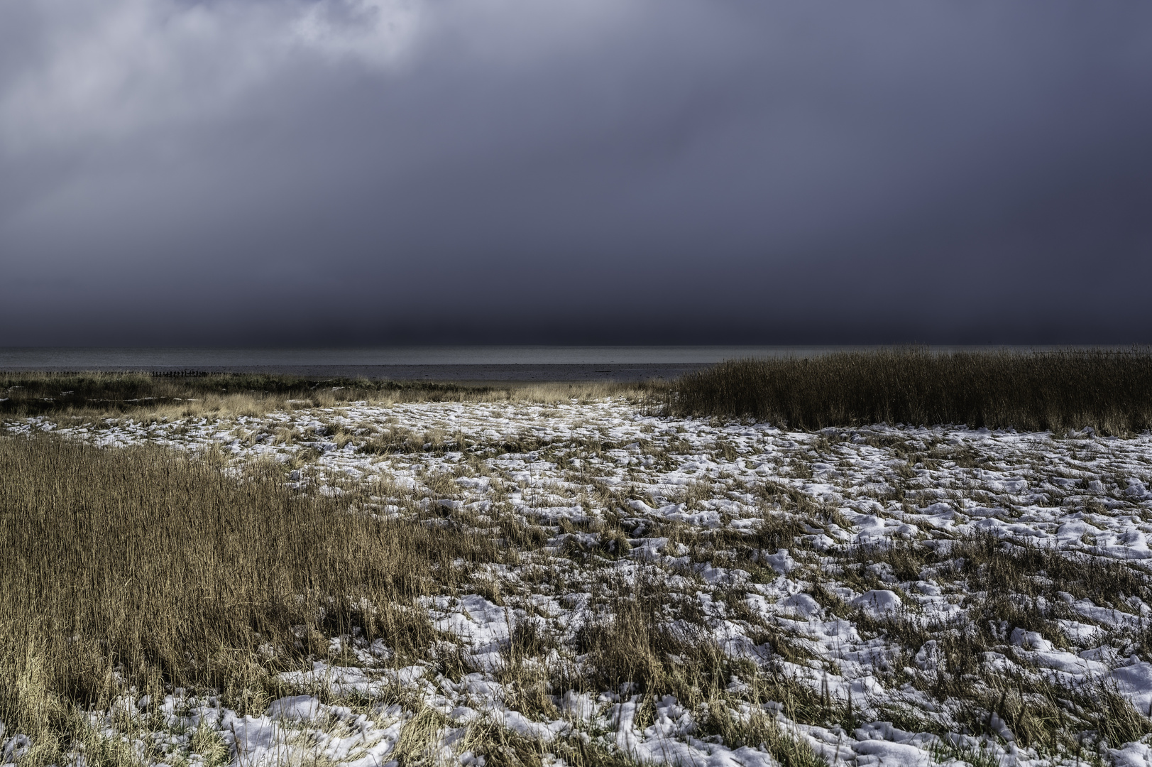 Braderuper Heide im Schnee