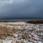 Braderuper Heide im Schnee