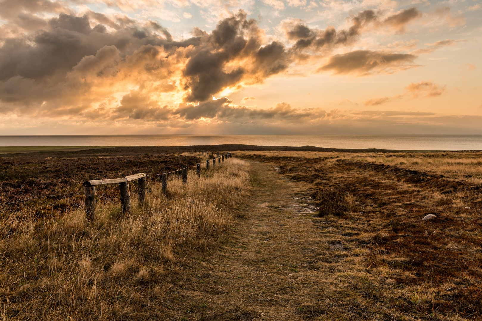 Braderuper Heide  ( Sylt )