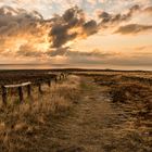 Braderuper Heide  ( Sylt )