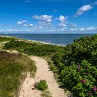 Braderuper Heide, Sylt ...